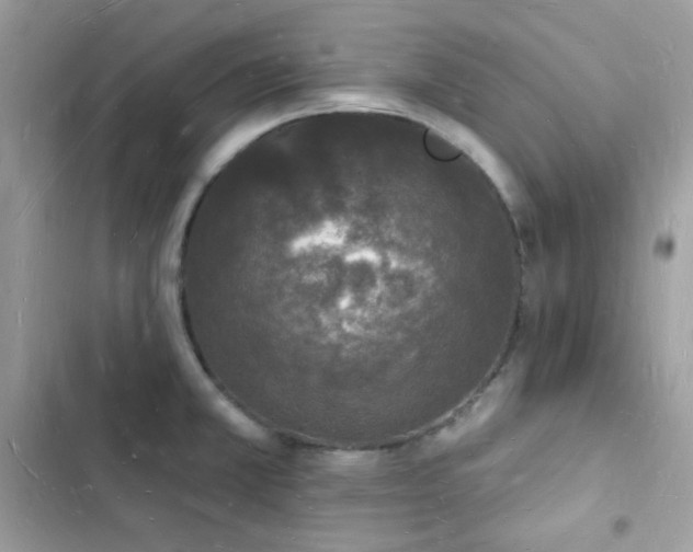 X0000103971381200809191524