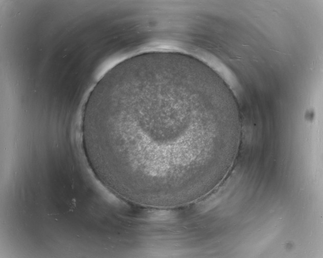 X0000103971382200809191524