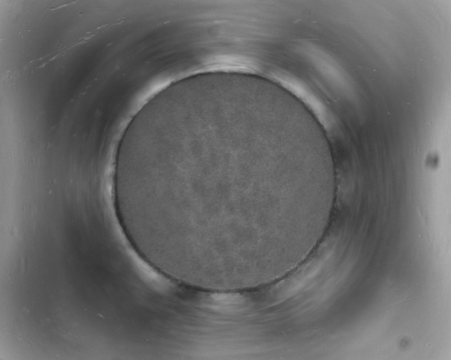 X0000103971383200809191524