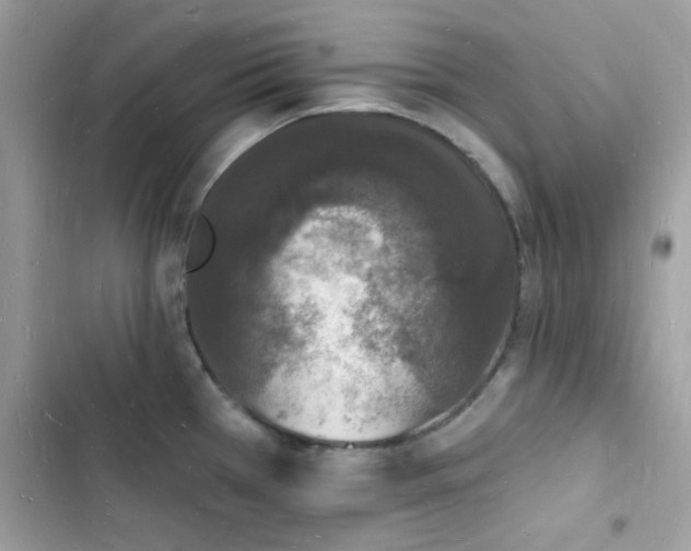 X0000103971385200809191524