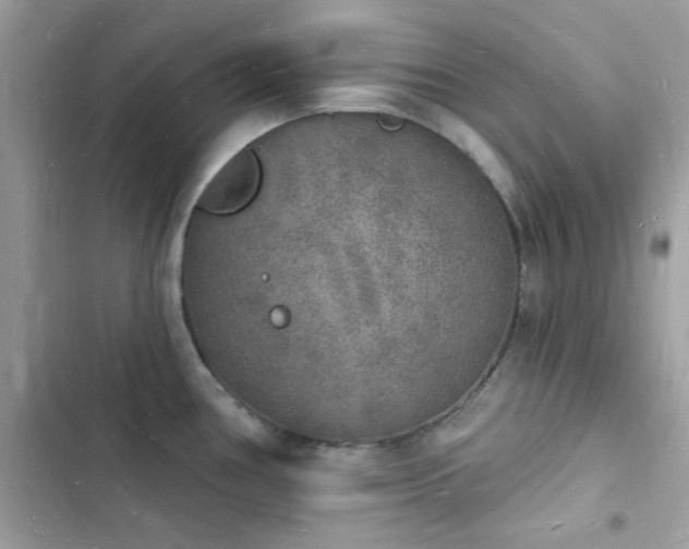 X0000103971386200809191524