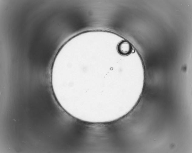 X0000103971388200809191524