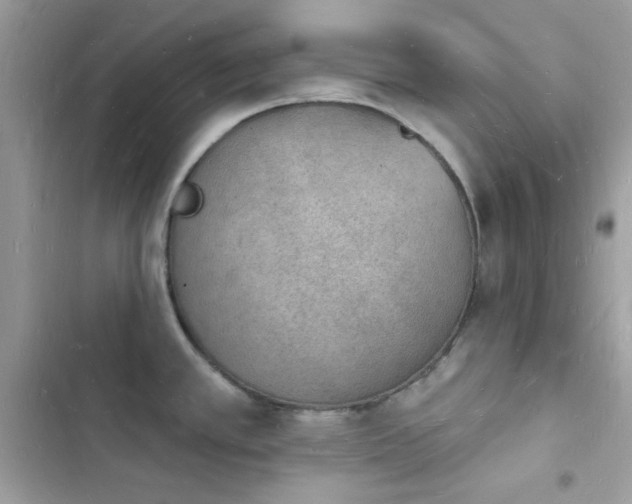 X0000103971389200809191524