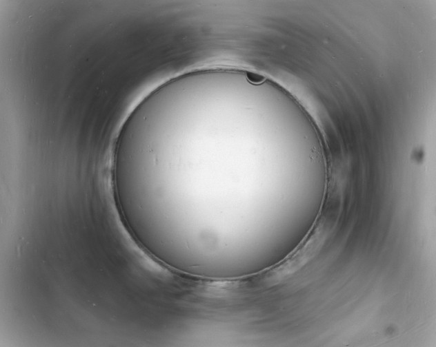 X0000103971390200809191524