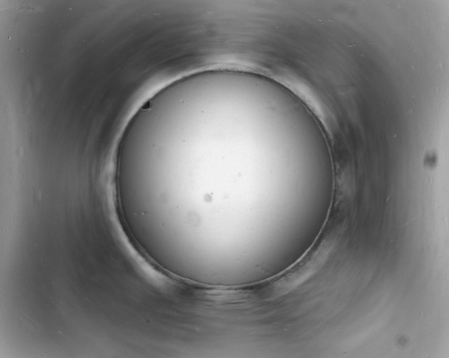 X0000103971391200809191524