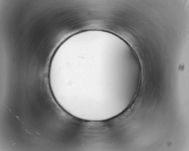 X0000103971392200809191524