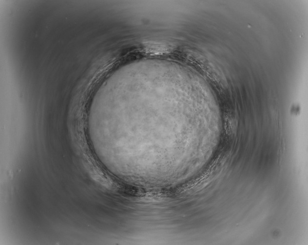 X0000103971393200809191523