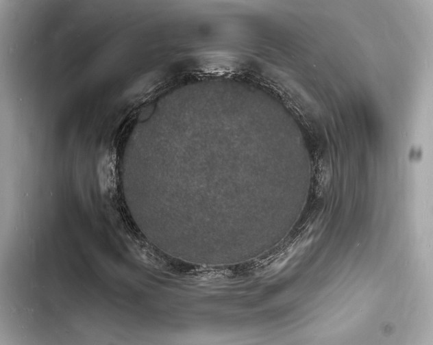 X0000103971394200809191523