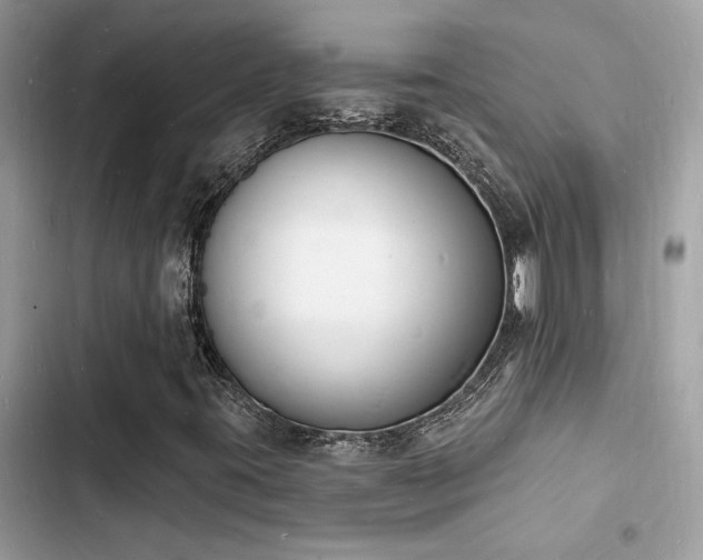 X0000103971395200809191523