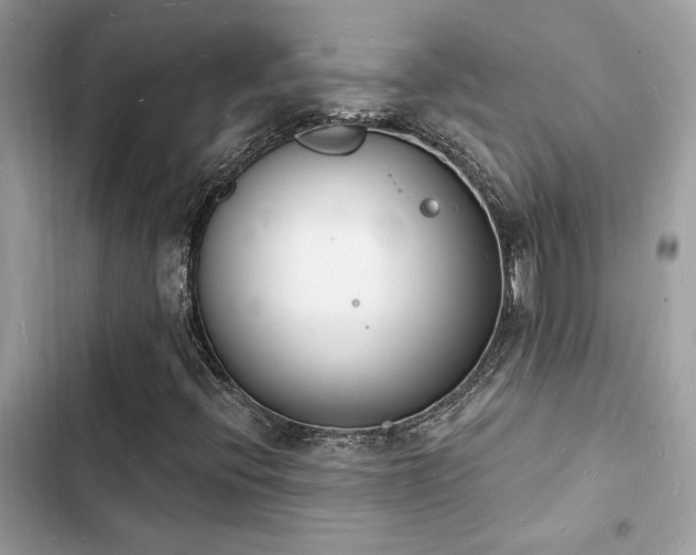 X0000103971396200809191523