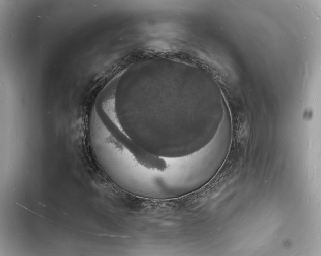 X0000103971397200809191524