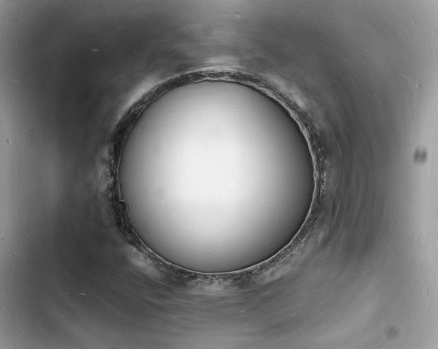 X0000103971400200809191524