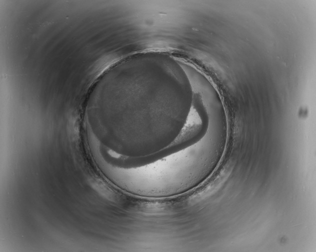 X0000103971401200809191524