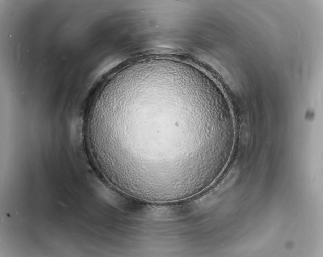 X0000103971402200809191524