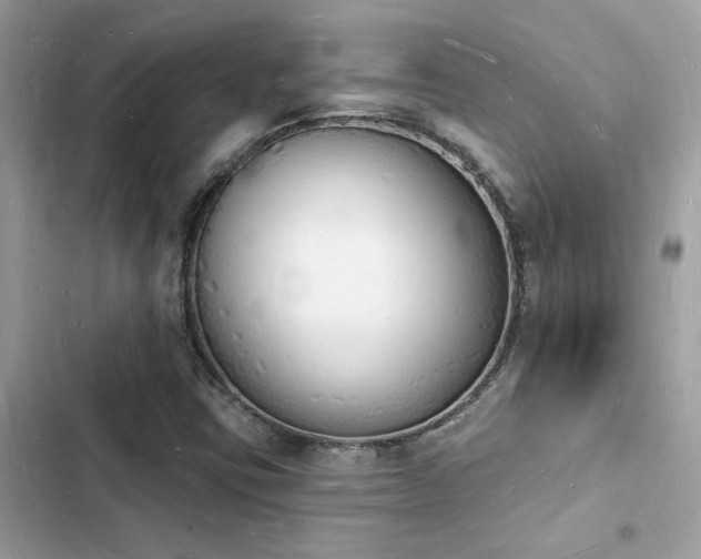 X0000103971403200809191524