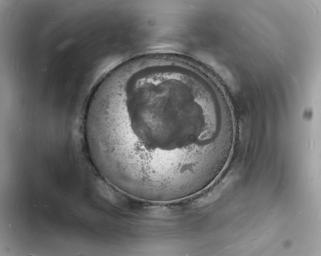 X0000103971405200809191524