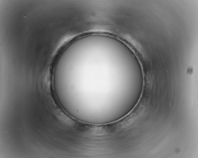 X0000103971408200809191524