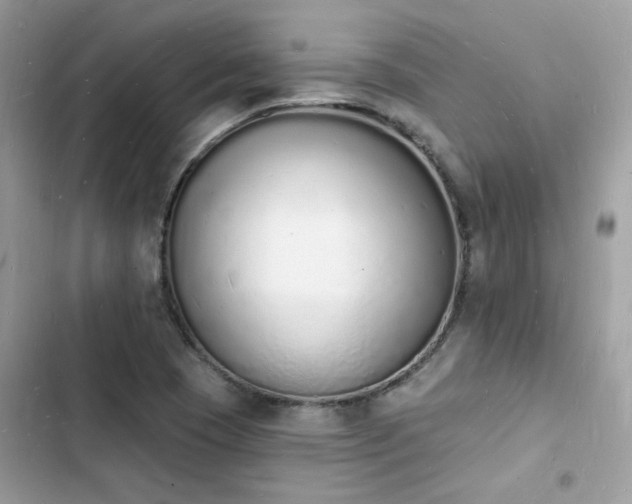 X0000103971409200809191524