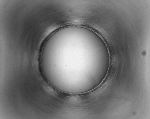 X0000103971410200809191524