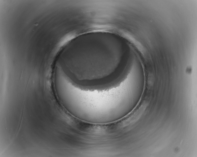 X0000103971411200809191524