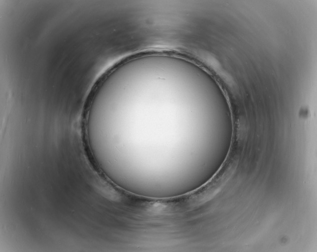 X0000103971412200809191524