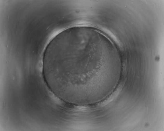 X0000103971413200809191524