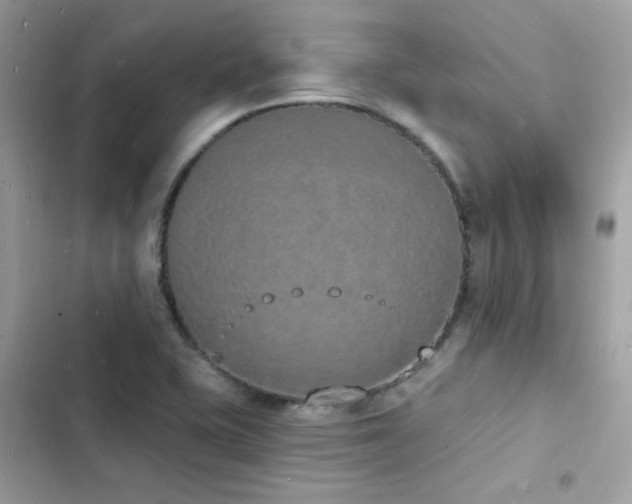 X0000103971415200809191524