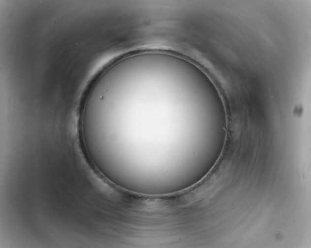 X0000103971416200809191524