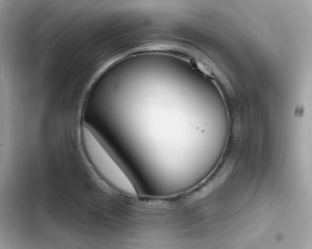 X0000103971417200809191524