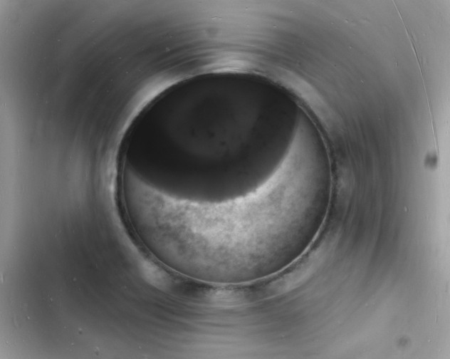 X0000103971418200809191524