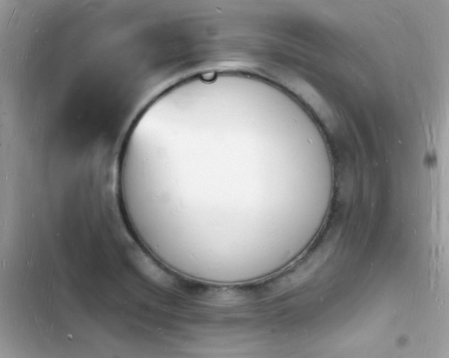 X0000103971420200809191524