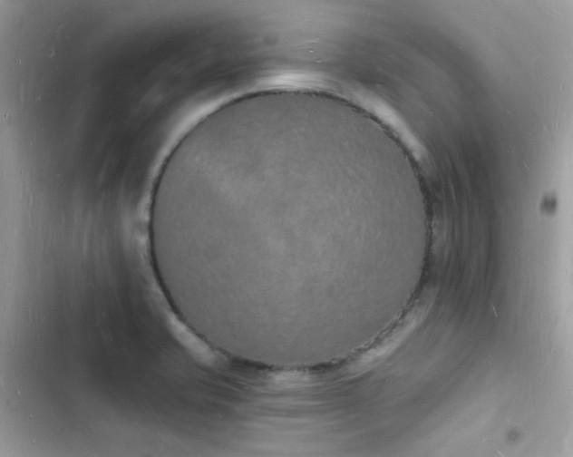 X0000103971421200809191524