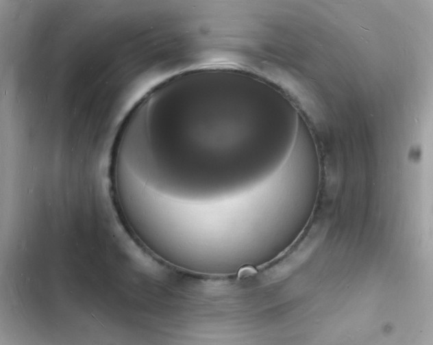 X0000103971422200809191524