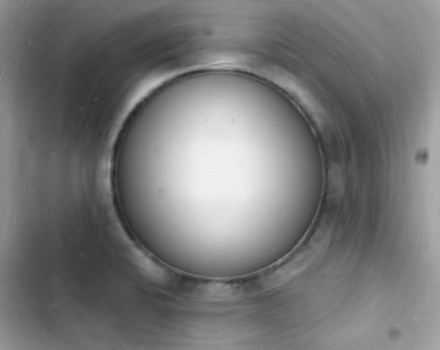 X0000103971424200809191524