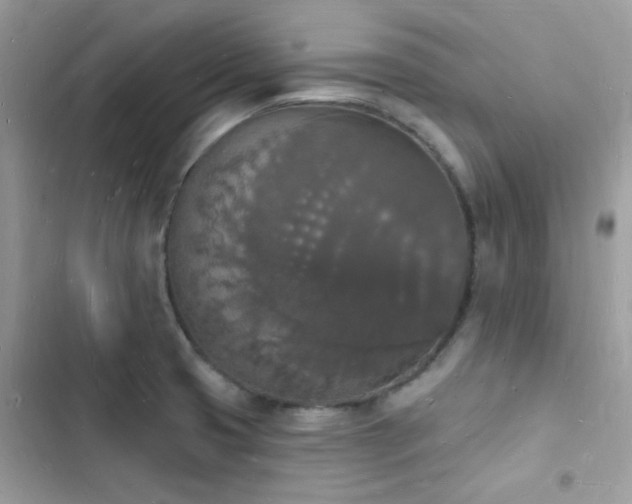 X0000103971425200809191524