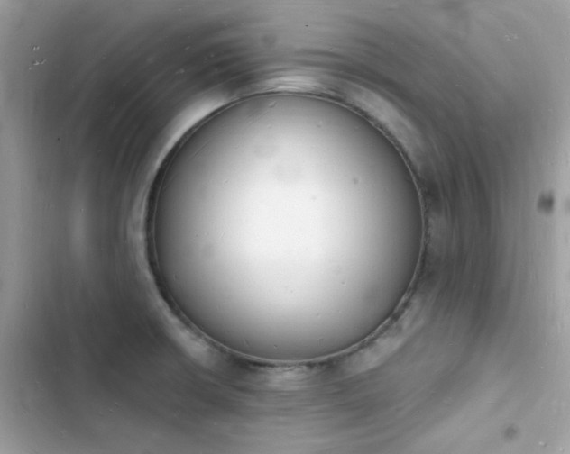 X0000103971426200809191524