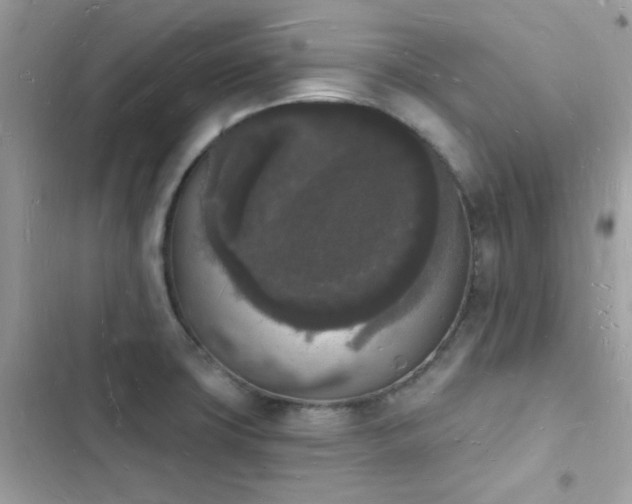 X0000103971427200809191524