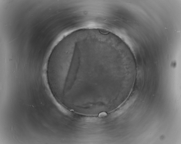 X0000103971429200809191524