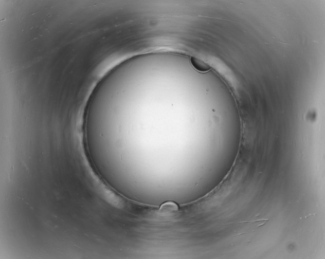 X0000103971431200809191524