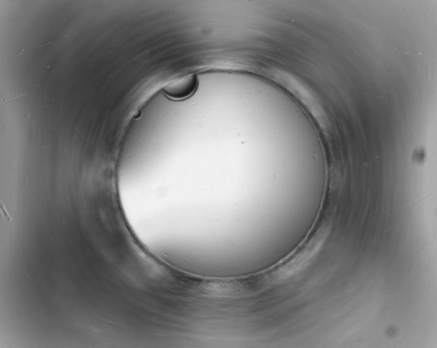 X0000103971433200809191524