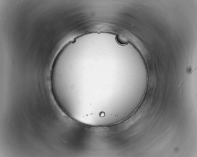 X0000103971434200809191524