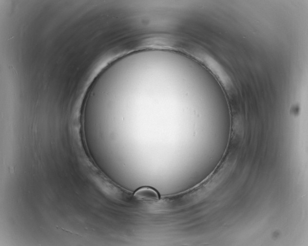 X0000103971435200809191524