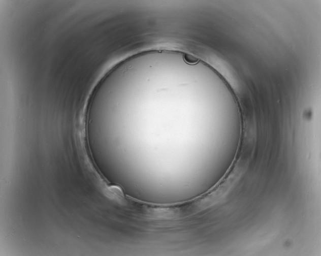 X0000103971436200809191524