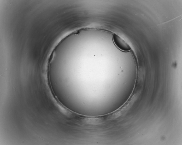 X0000103971437200809191524