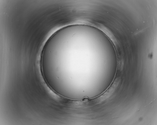 X0000103971438200809191524