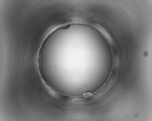 X0000103971439200809191524