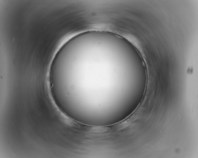 X0000103971440200809191524