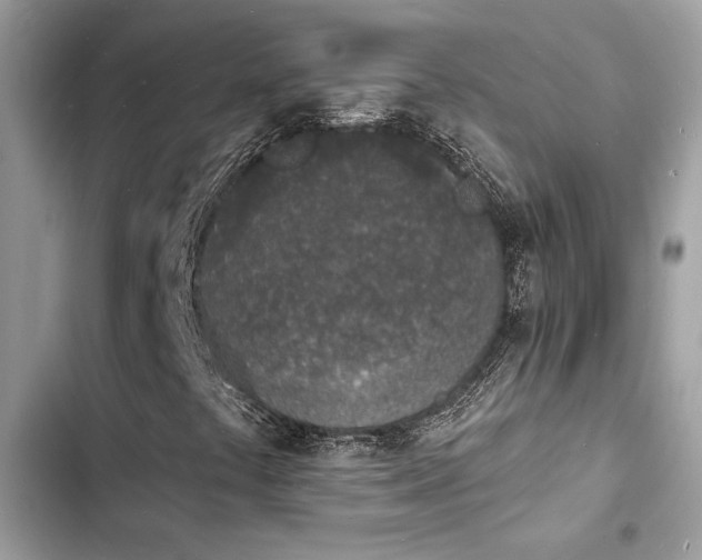 X0000103971441200809191523