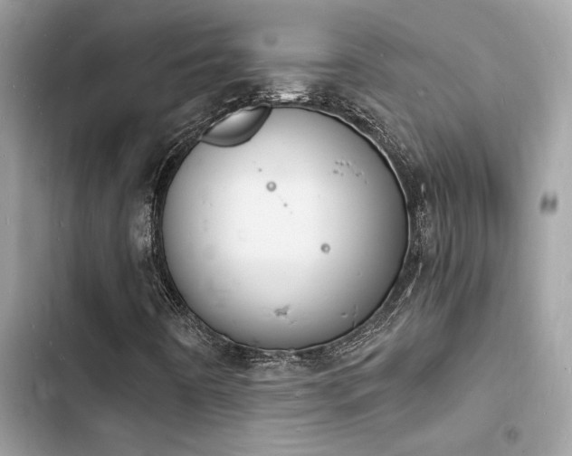 X0000103971442200809191523