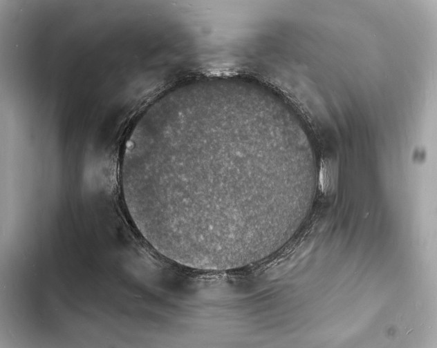 X0000103971444200809191523